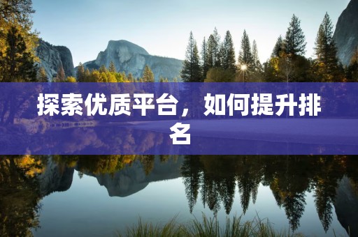 探索优质平台，如何提升排名