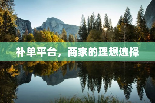 补单平台，商家的理想选择