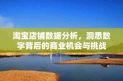 淘宝店铺数据分析，洞悉数字背后的商业机会与挑战