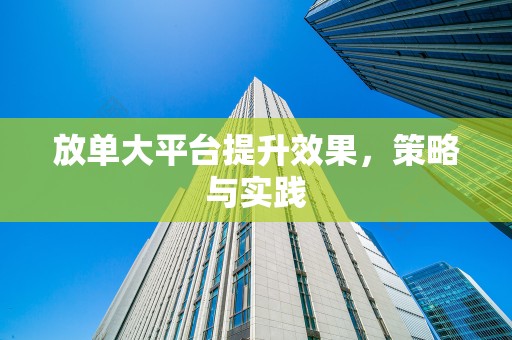 放单大平台提升效果，策略与实践