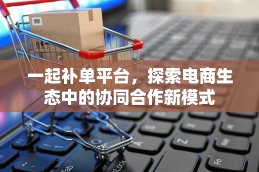 一起补单平台，探索电商生态中的协同合作新模式