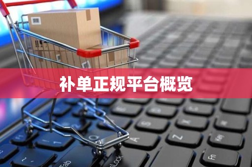 补单正规平台概览