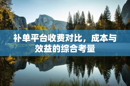 补单平台收费对比，成本与效益的综合考量