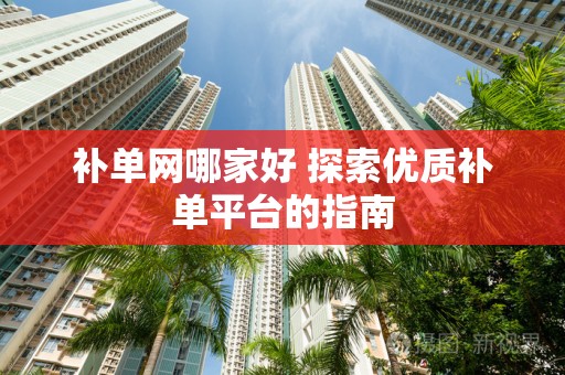 补单网哪家好 探索优质补单平台的指南