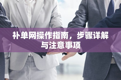 补单网操作指南，步骤详解与注意事项