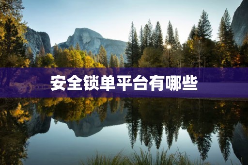 安全锁单平台有哪些