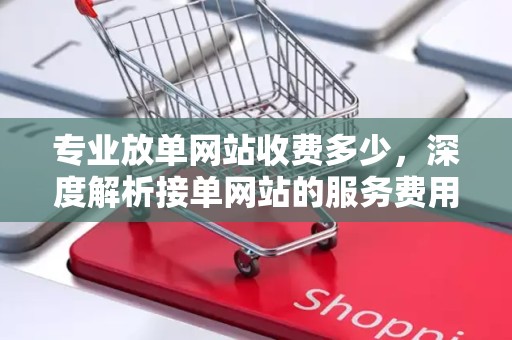 专业放单网站收费多少，深度解析接单网站的服务费用与服务质量