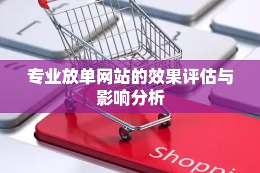专业放单网站的效果评估与影响分析