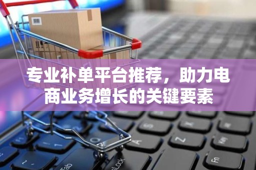 专业补单平台推荐，助力电商业务增长的关键要素
