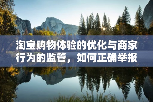 淘宝购物体验的优化与商家行为的监管，如何正确举报商家