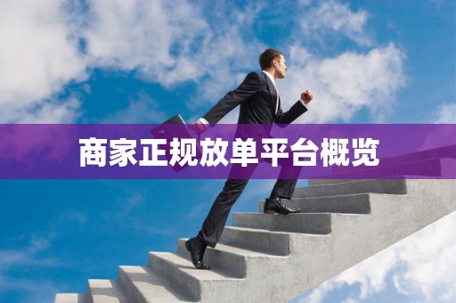 商家正规放单平台概览
