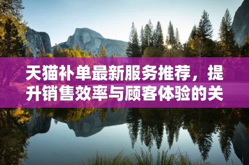 天猫补单最新服务推荐，提升销售效率与顾客体验的关键策略