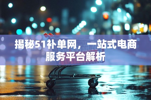 揭秘51补单网，一站式电商服务平台解析