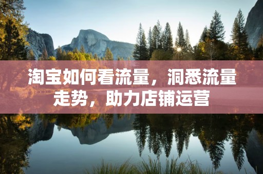 淘宝如何看流量，洞悉流量走势，助力店铺运营
