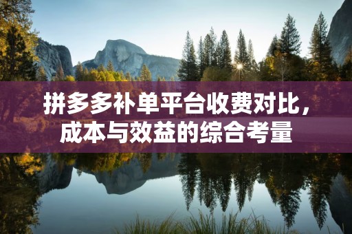 拼多多补单平台收费对比，成本与效益的综合考量