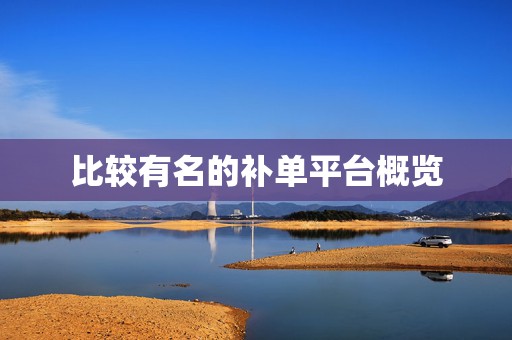 比较有名的补单平台概览
