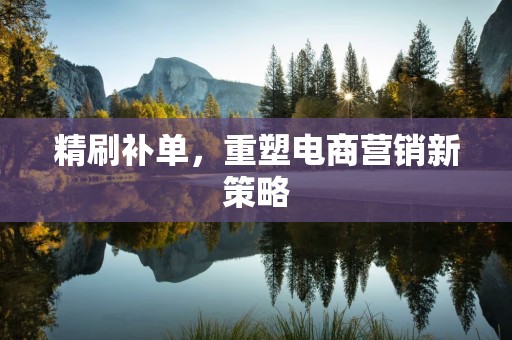 精刷补单，重塑电商营销新策略
