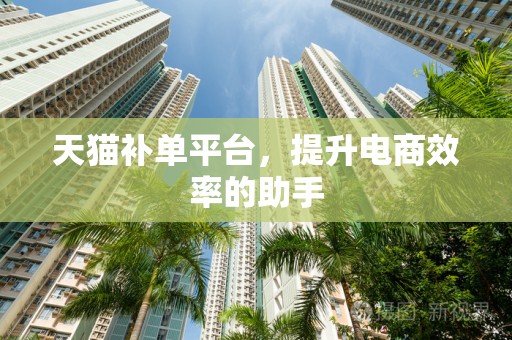 天猫补单平台，提升电商效率的助手