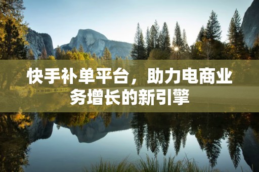 快手补单平台，助力电商业务增长的新引擎