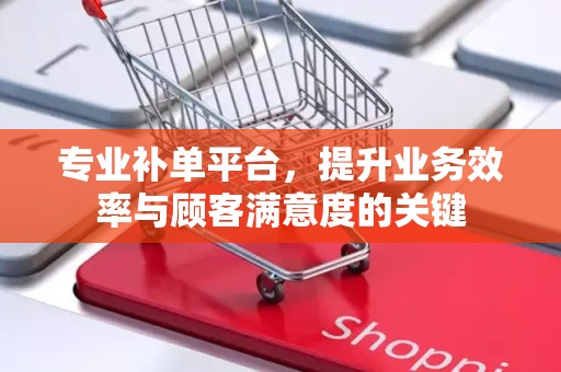 专业补单平台，提升业务效率与顾客满意度的关键