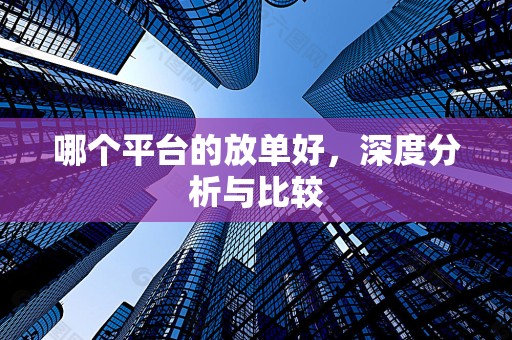 哪个平台的放单好，深度分析与比较