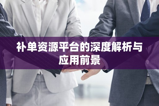 补单资源平台的深度解析与应用前景