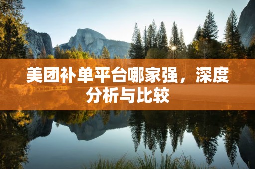 美团补单平台哪家强，深度分析与比较