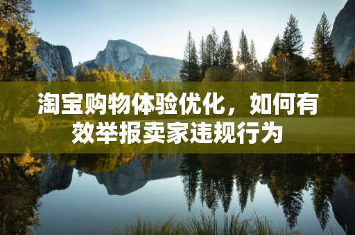 淘宝购物体验优化，如何有效举报卖家违规行为