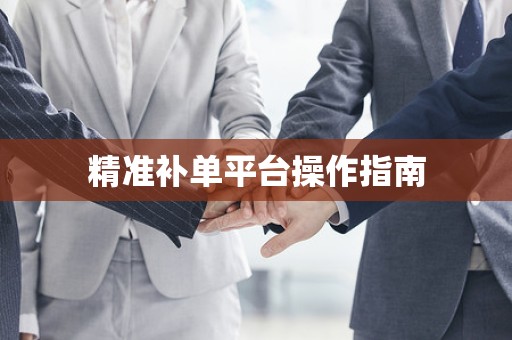 精准补单平台操作指南