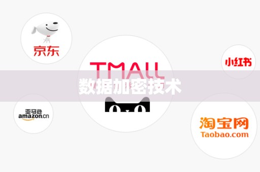 数据加密技术