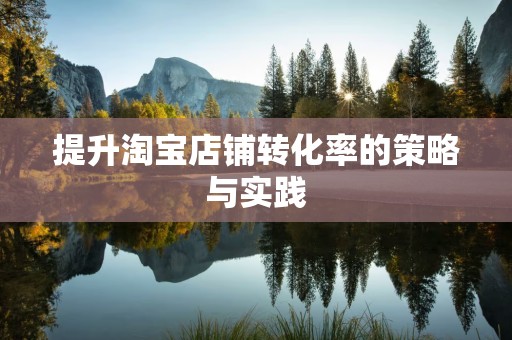 提升淘宝店铺转化率的策略与实践