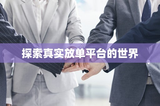 探索真实放单平台的世界