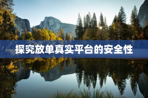 探究放单真实平台的安全性