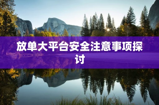 放单大平台安全注意事项探讨