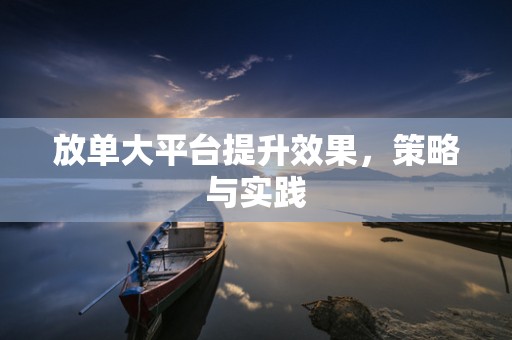 放单大平台提升效果，策略与实践