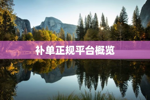 补单正规平台概览