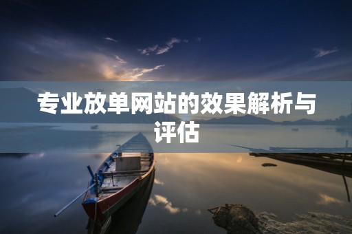 专业放单网站的效果解析与评估