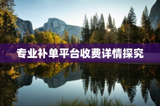 专业补单平台收费详情探究