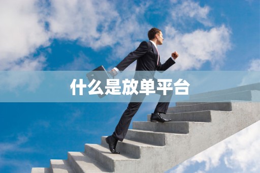 什么是放单平台