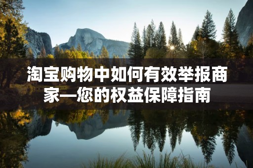 淘宝购物中如何有效举报商家—您的权益保障指南