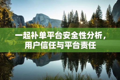 一起补单平台安全性分析，用户信任与平台责任