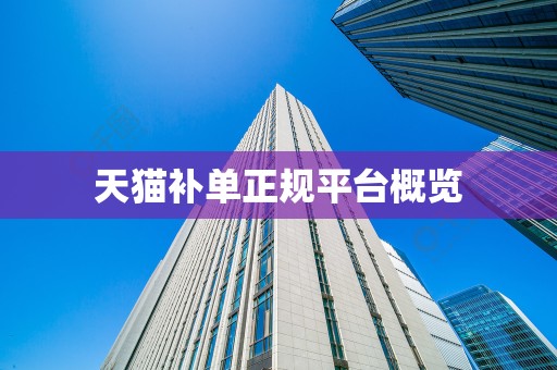 天猫补单正规平台概览