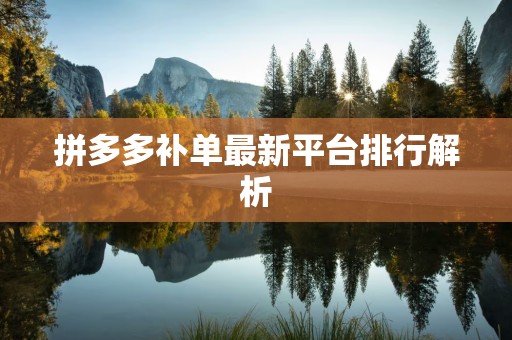拼多多补单最新平台排行解析