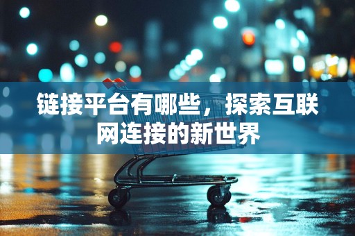 链接平台有哪些，探索互联网连接的新世界