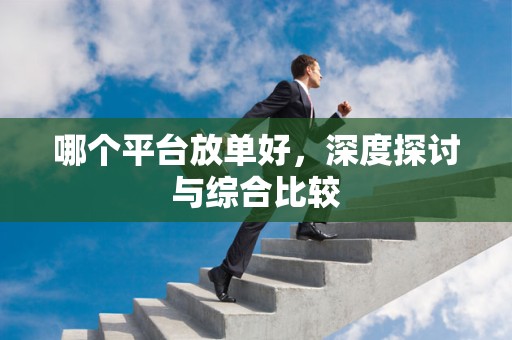 哪个平台放单好，深度探讨与综合比较