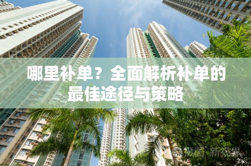 哪里补单？全面解析补单的最佳途径与策略