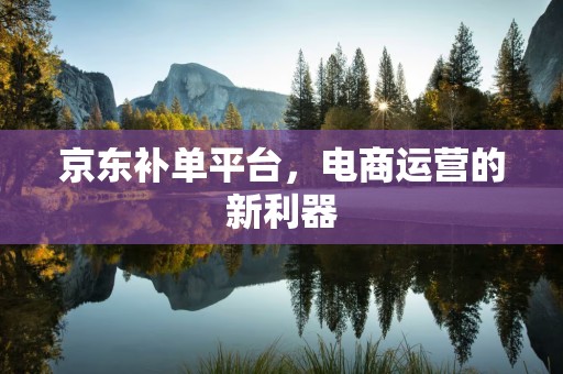 京东补单平台，电商运营的新利器