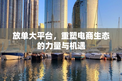 放单大平台，重塑电商生态的力量与机遇