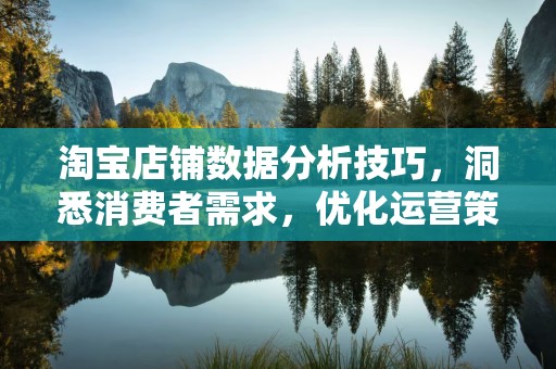 淘宝店铺数据分析技巧，洞悉消费者需求，优化运营策略