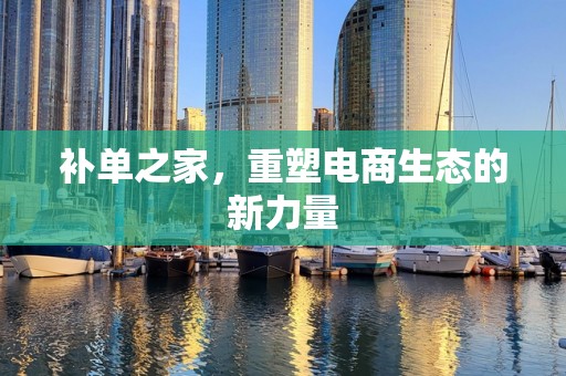 补单之家，重塑电商生态的新力量